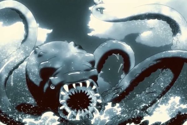 Kraken рабочий
