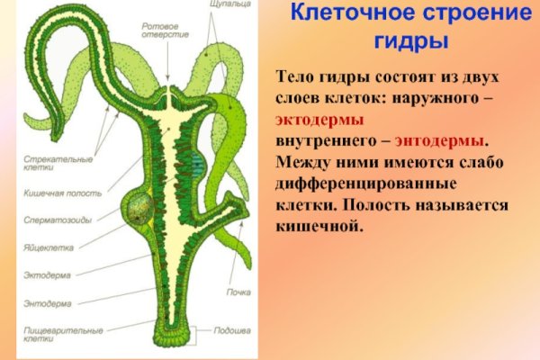 Kraken cc ссылка