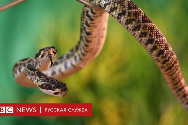 Кракен сайт регистрация