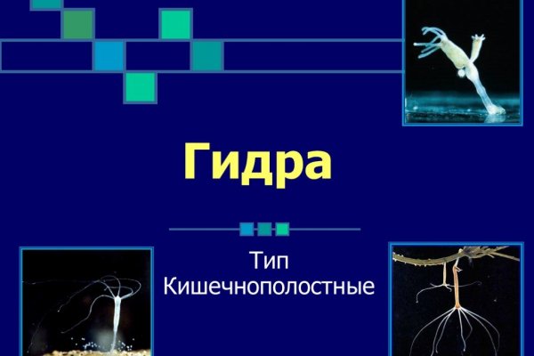 Onion сайт кракен