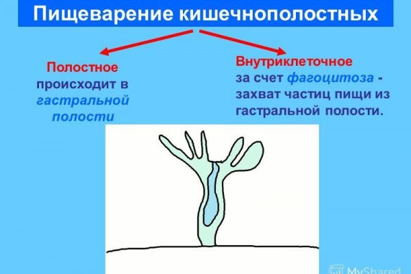 Аналог гидры