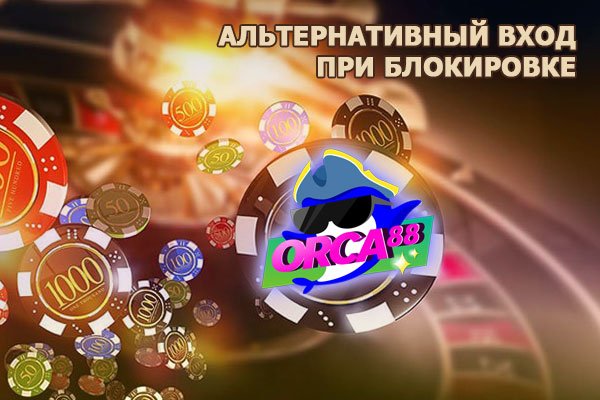 Darknet как войти