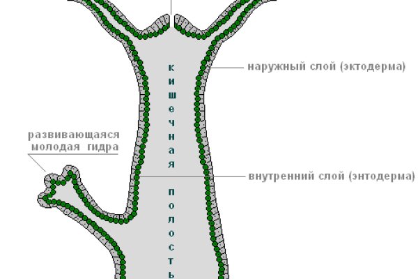 Рабочие ссылки и зеркала кракен
