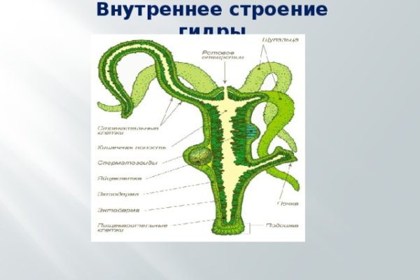 Кракен интернет