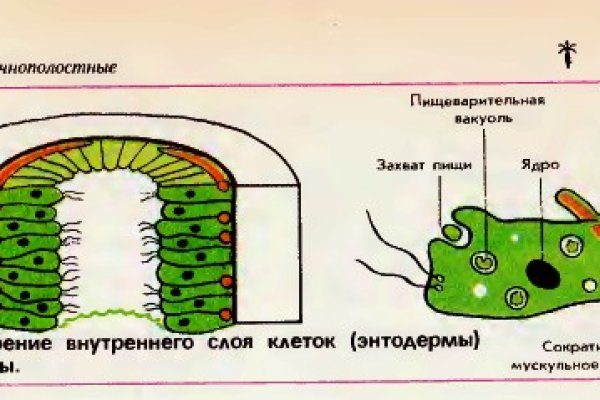 Кракен сайт юнион