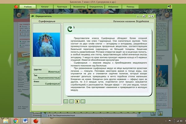 Кракен площадка зеркало