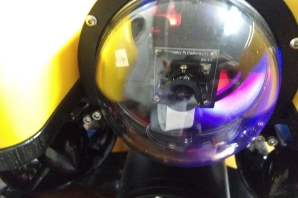 Kraken 24 top