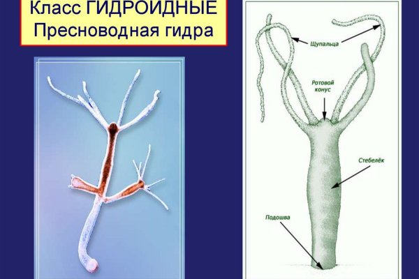 Оригинальная ссылка кракен браузера